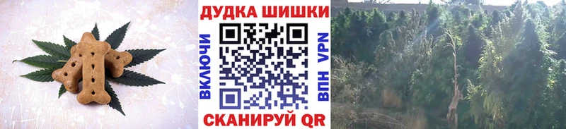 Cannafood марихуана  купить  сайты  Кировск 