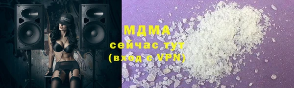мдпв Бородино