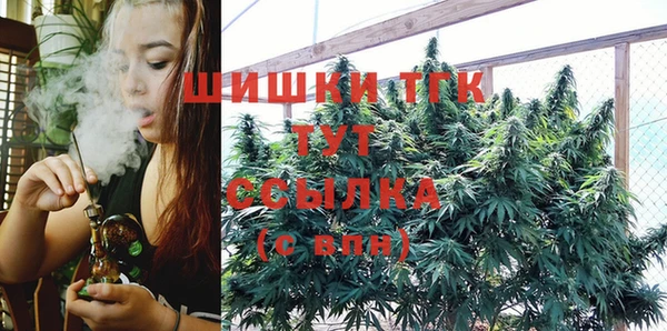 мдпв Бородино