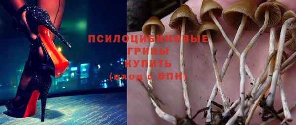 сатива Арсеньев