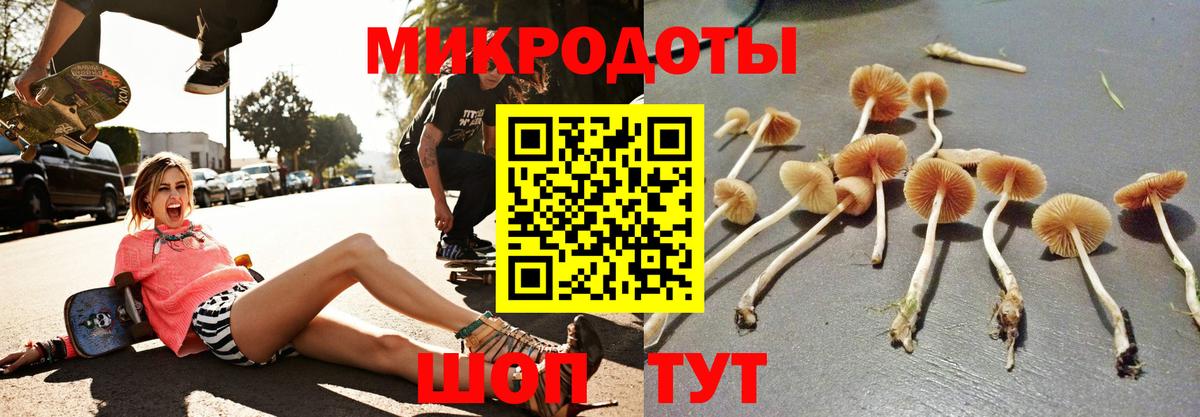 ЭКСТАЗИ Кировск