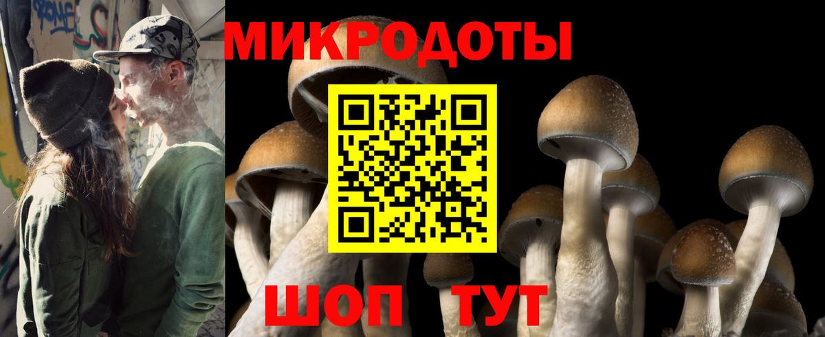 Кировск  Галлюциногенные грибы Psilocybe  Вход с VPN 