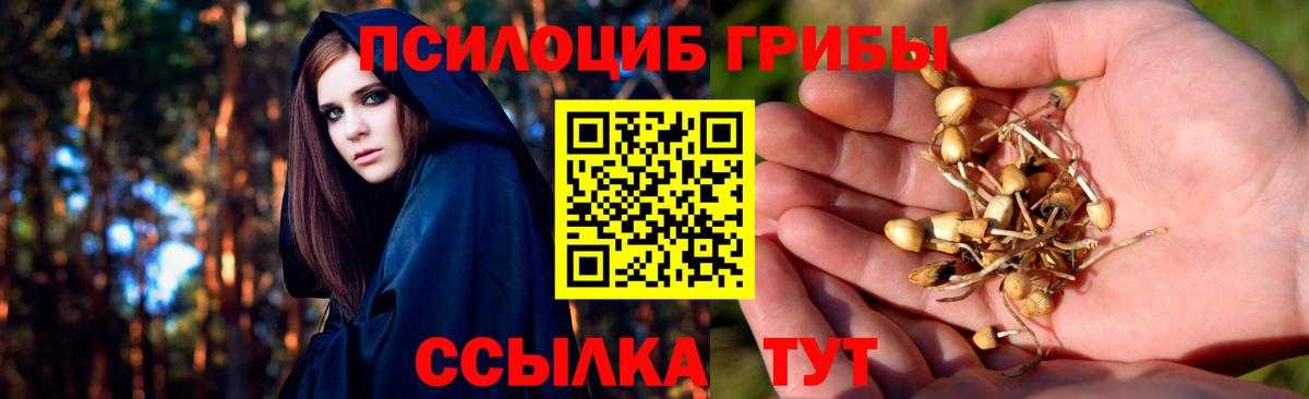 Псилоцибиновые грибы прущие грибы Кировск